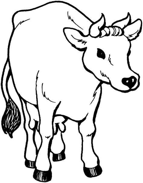 Printable Cow Coloring Pages